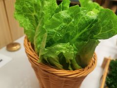 -菌子鲜汤野生菌锅