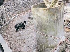 -杭州动物园