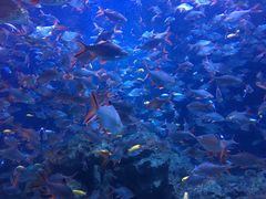 -成都浩海立方海洋公园