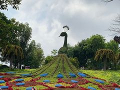 -松山湖南湖湾露营营地