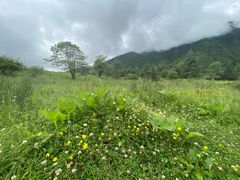 -硗碛藏寨·神木垒景区