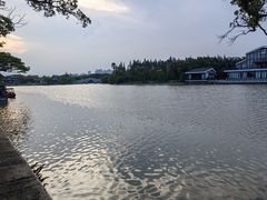-江心屿景区