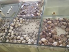 贝类-顺峰火锅自助