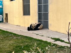 -西安秦岭野生动物园