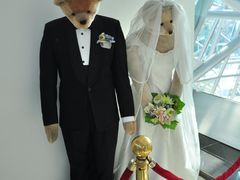 -济州岛泰迪熊博物馆