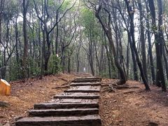 -西湖风景区十里琅珰-五云山