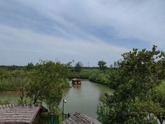 -泗洪洪泽湖湿地景区