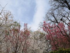 -北京工商大学(阜成路校区)