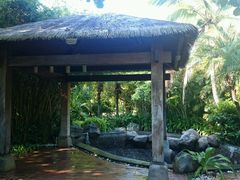 android_upload_pic-三亚珠江南田温泉度假区