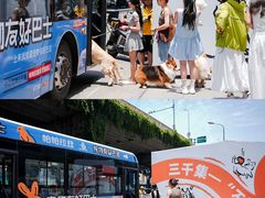 -帕帕拉兹宠物(亚洲旗舰店)