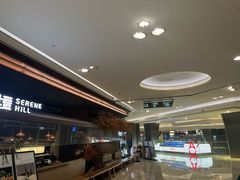 -港汇恒隆广场