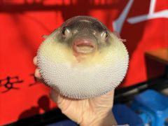 -永安鱼庄·镇江菜(东吴路店)