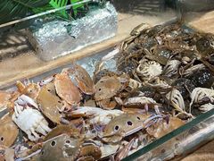 -丽彩天祺酒店-自助餐厅