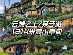 -仰天湖大草原