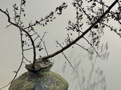 -六出私塾LiuChu•成人美术书法系统课程专业画室(熊婆婆的花园店)