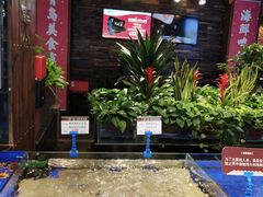 -船歌·鱼水饺青岛菜(闽江二路店)