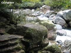 -祁门牯牛降观音堂风景区