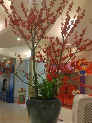 -深圳鹏爱秀琪医疗美容医院