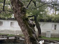 -西园戒幢律寺