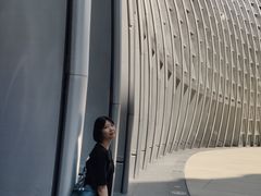 -凤凰中心