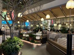 -桂满陇·海市蜃楼·黑金(国金店)