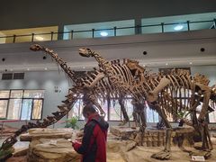 -自贡恐龙博物馆