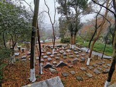 -镇江市南山风景名胜区竹林景区