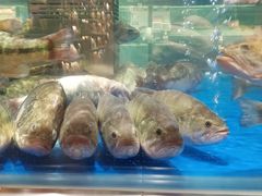 -居然之家家居生活MALL(丽泽店)