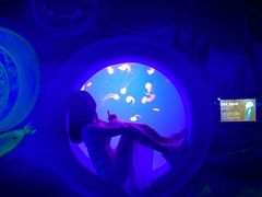 -江和美海洋公园
