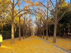 -康熙养生SPA·轻奢足道(江宁万达店)