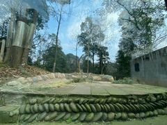 -中国大熊猫保护研究中心雅安碧峰峡基地