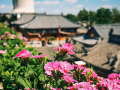 -妙应寺白塔