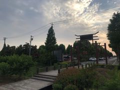 -合肥滨湖国家森林公园