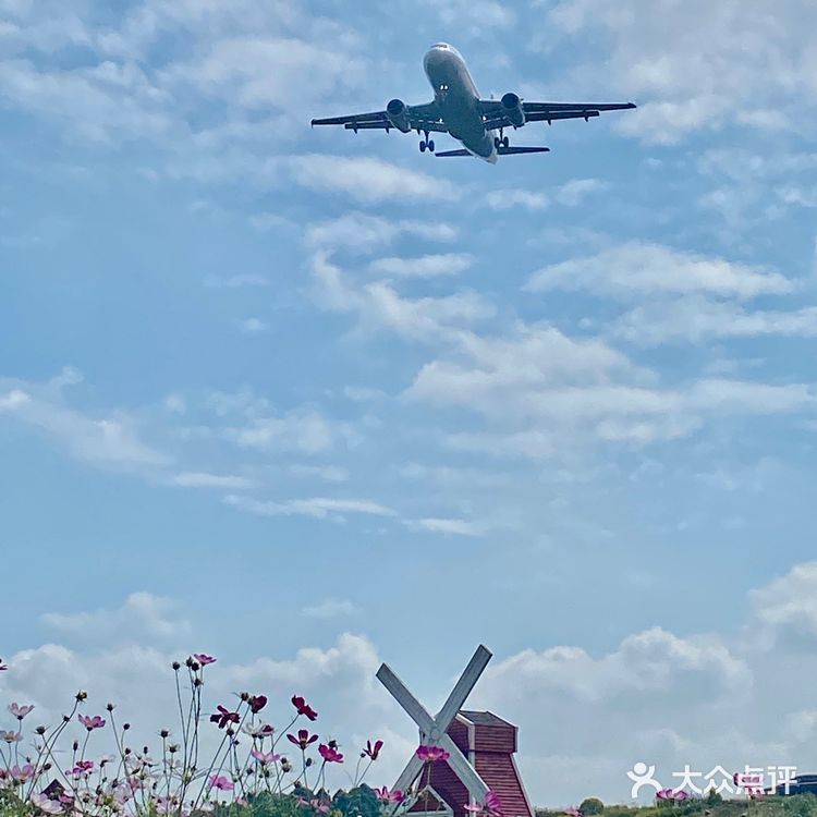 看飞机✈️好去处  拍照真的好好看呀～ 