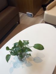 -重庆安琪儿妇产医院-妇幼保健联盟医院