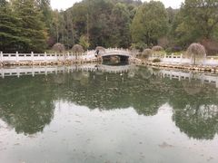 -山湖温泉