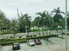 -同禧荟·港味海鲜火锅·粤菜(三亚湾店)