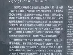 -自贡恐龙博物馆