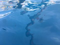 -杭州浪浪浪水公园