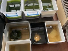 -灵龟之家百象馆(百象馆联合旗舰店)