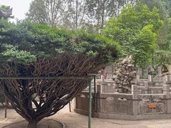 -西安化觉巷清真大寺