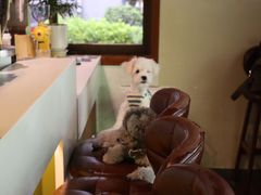 -默迹咖啡馆