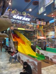 -卡通尼·Safari非洲探索乐园·生日会(金桥国际商业广场店)