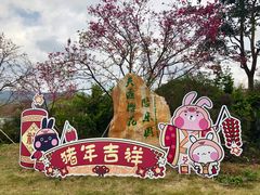 -天适樱花悠乐园