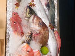 -鲤·鮨KOISUSHI