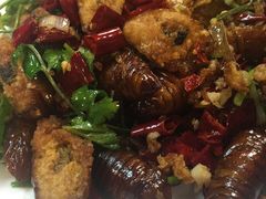 -小四川水煮鱼(南六中路店)