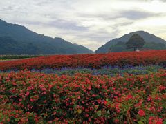 -广州市石门国家森林公园