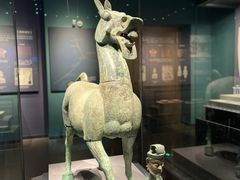 -广西壮族自治区博物馆