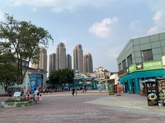 -海合安成都极地海洋公园