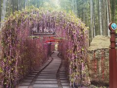 -明月山风景名胜区